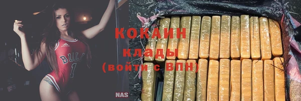 хмурый Покачи