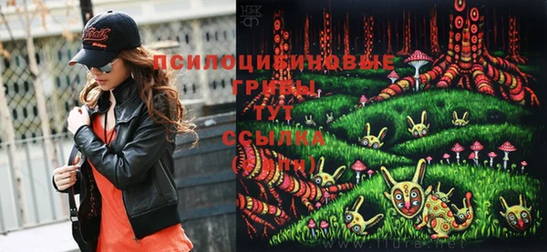 крисы Санкт-Петербург