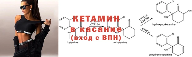 каннабис Ессентукская