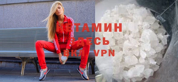 каннабис Ессентукская