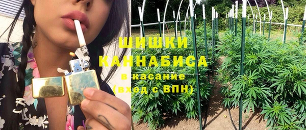 хмурый Покачи