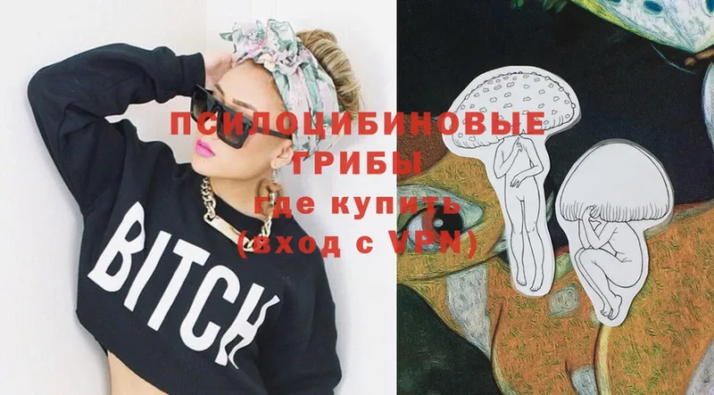 где продают   Белёв  Псилоцибиновые грибы мухоморы 